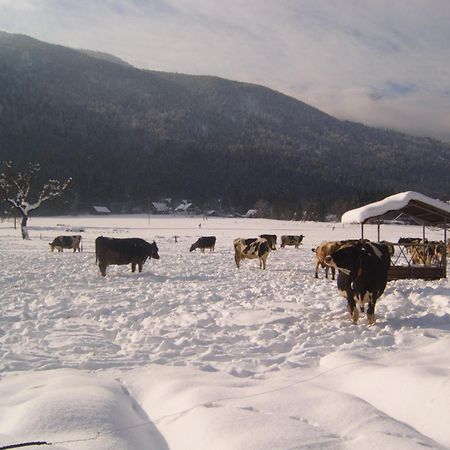 Farmhouse Soklic Бохин Екстериор снимка